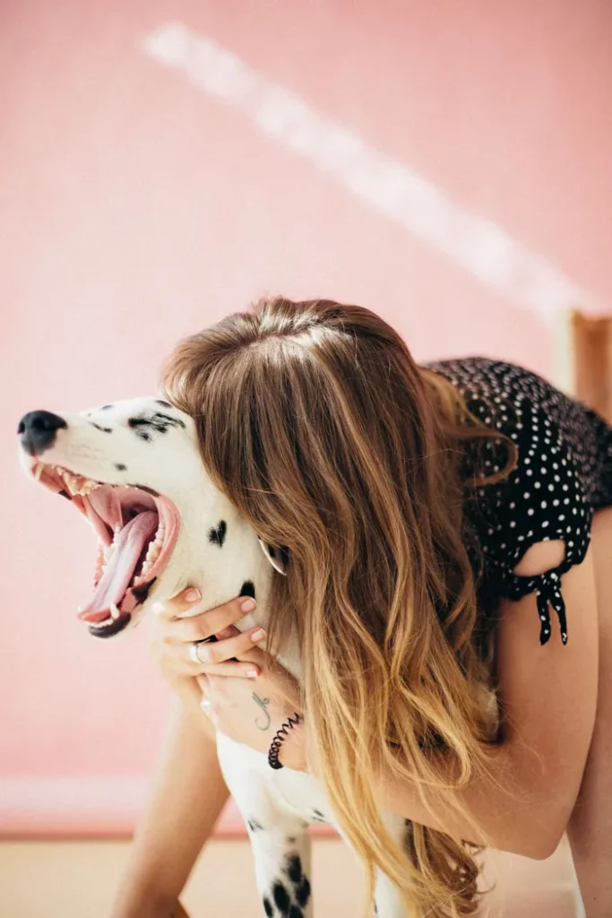 woman playing with her adult dalmatian 1390075